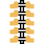 spine 1